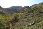 wandern_53.jpg
