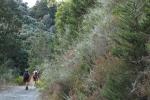 wandern_56.jpg