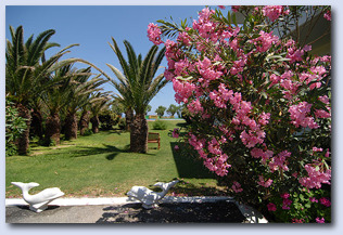 Wunderschön angelegter Garten Wunderschön angelegter Garten