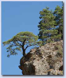 Wanderprogramm Wanderprogramm