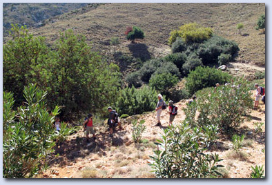 Wanderprogramm
